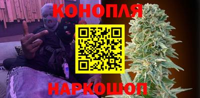 тгк Гусев
