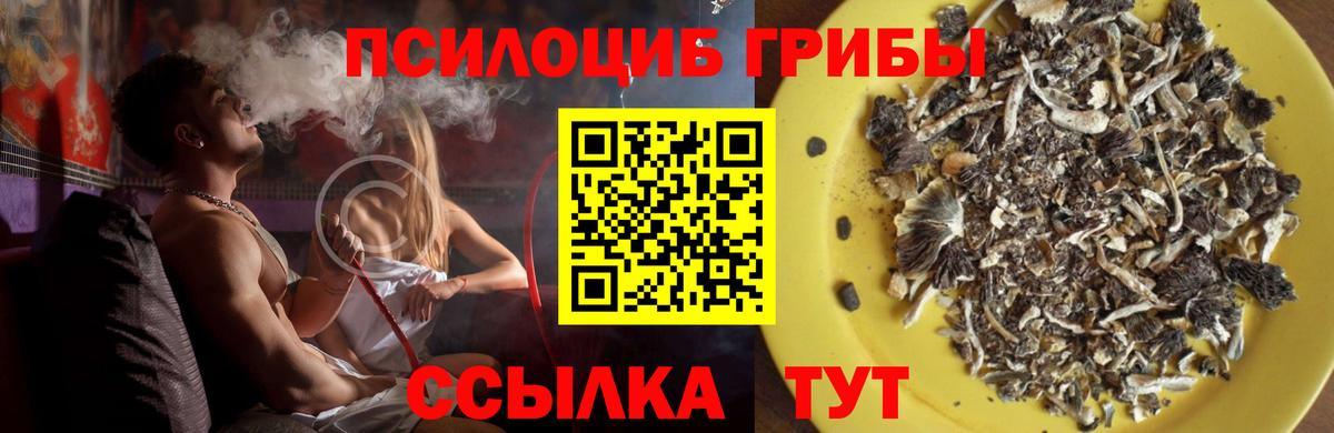 Псилоцибиновые грибы Psilocybe  Галлюциногенные грибы Magic Shrooms  Назрань  Вход с VPN 